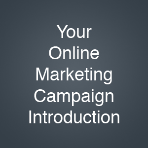 Online Marketing Campaign Introduction